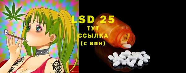хмурый Белокуриха