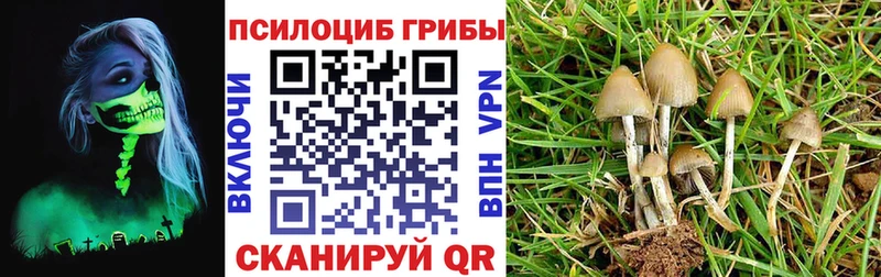 Галлюциногенные грибы ЛСД  Кувандык 